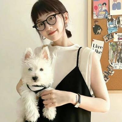 悬案判决