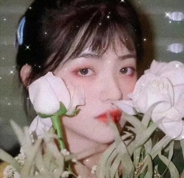 修女的诅咒